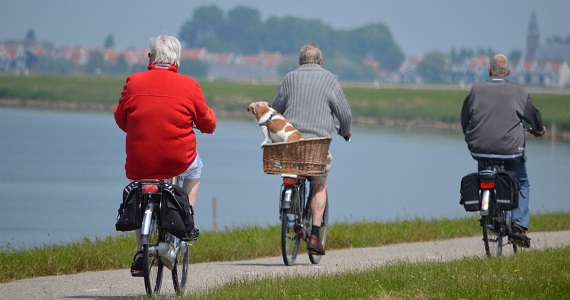 Senior citizens cycling in park